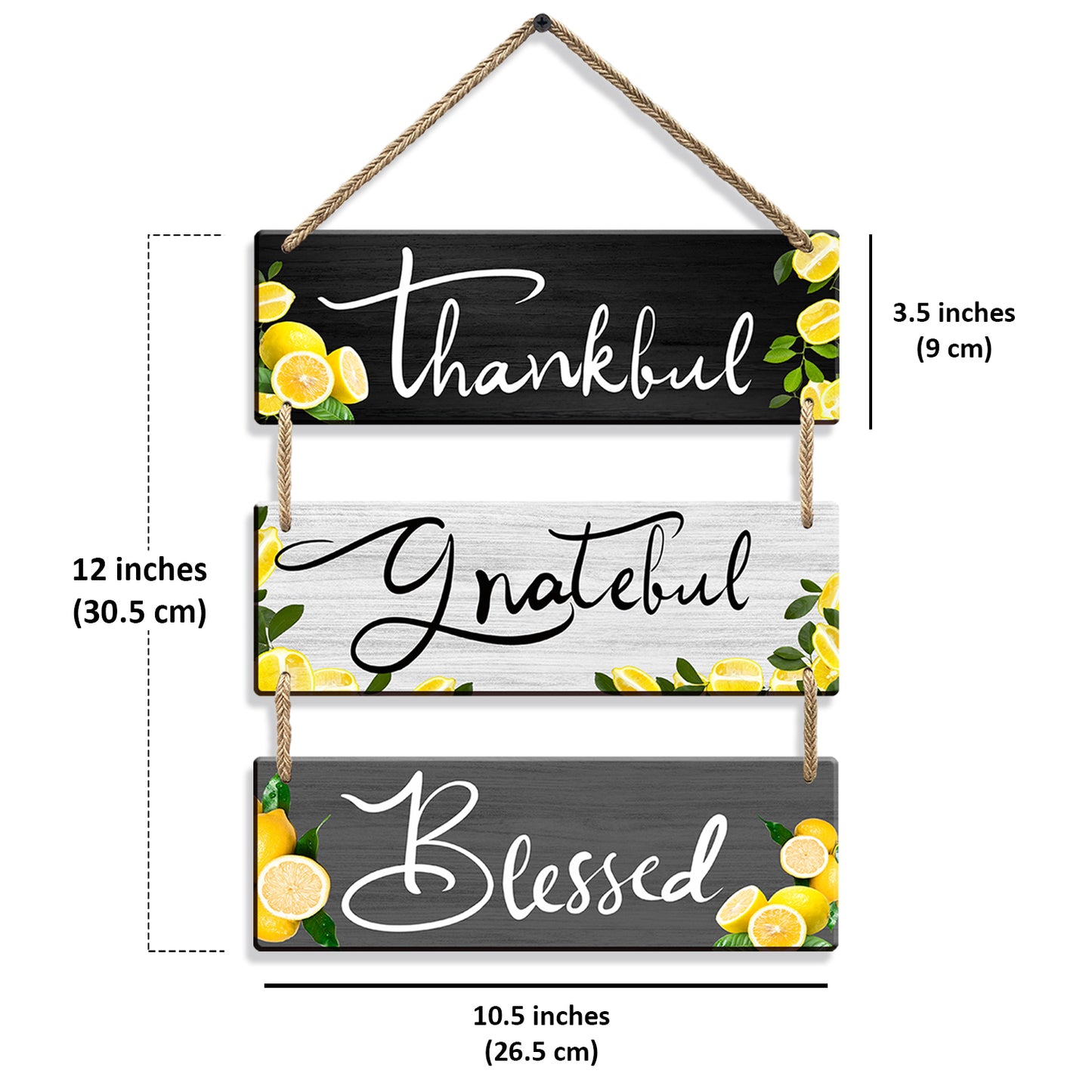 Three Rectangular Plate Wall Hanging