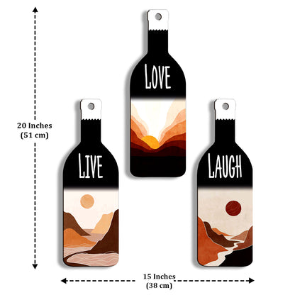 Set of 3 Bottle Wall Hanging