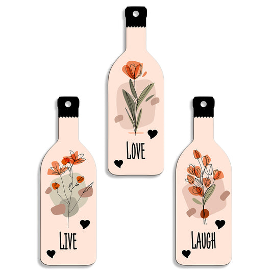 Set of 3 Bottle Wall Hanging