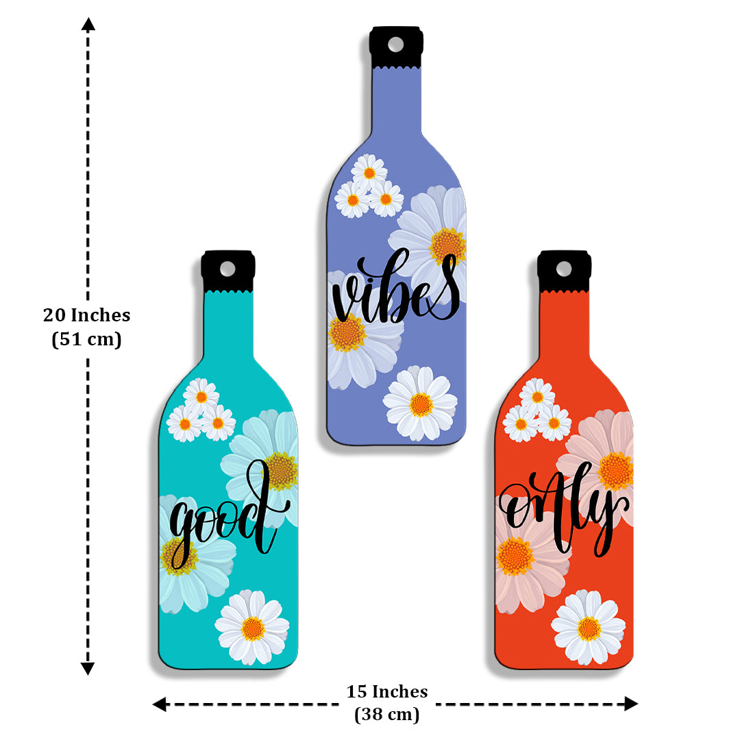 Set of 3 Bottle Wall Hanging