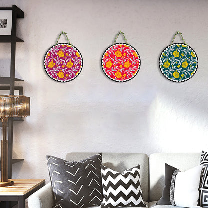 Sehaz Artworks Set of 3 Circle Wall Hanging