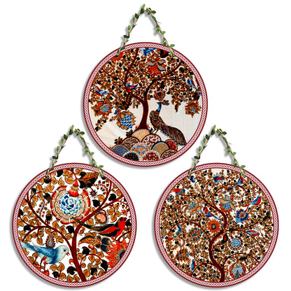 Sehaz Artworks Set of 3 Circle Wall Hanging