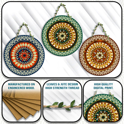 Sehaz Artworks Set of 3 Circle Wall Hanging