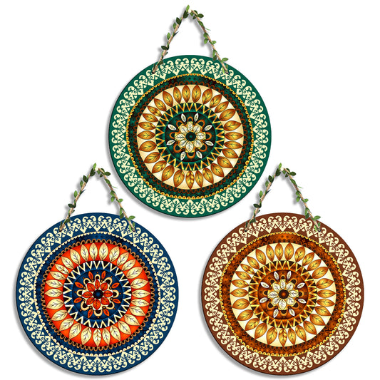 Sehaz Artworks Set of 3 Circle Wall Hanging