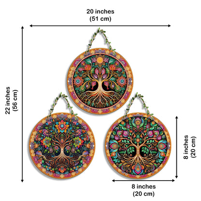 Sehaz Artworks Set of 3 Circle Wall Hanging